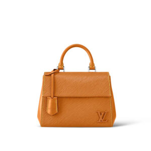 Louis Vuitton Cluny Mini Handbag - LH47