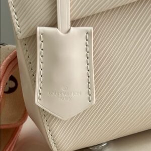 Louis Vuitton Cluny Mini Handbag - LH48