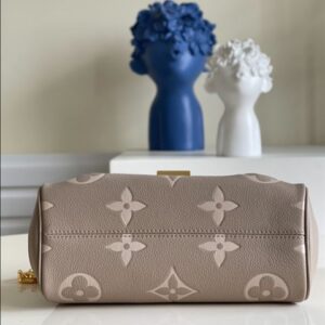 Louis Vuitton Favorite Bag - LH10