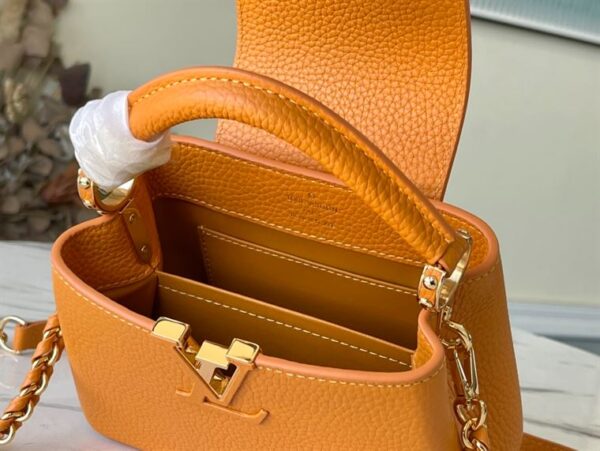 Louis Vuitton Capucines Mini Bag - LH154