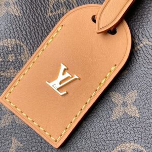 Louis Vuitton CarryAll PM Handbag - LH169