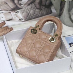 Dior Micro Lady Bags - DH006