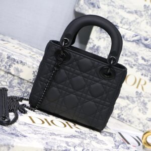 Dior Mini Lady Bags - DH004