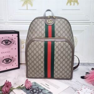 Gucci Ophidia GG Medium Backpack - GP028