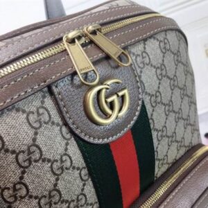 Gucci Ophidia GG Medium Backpack - GP028