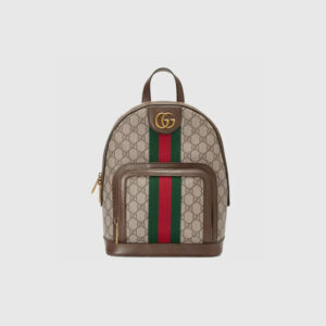 Gucci Ophidia GG Small Backpack - GP026