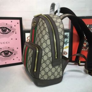 Gucci Ophidia GG Small Backpack - GP026